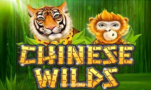 Chinese Wilds Team